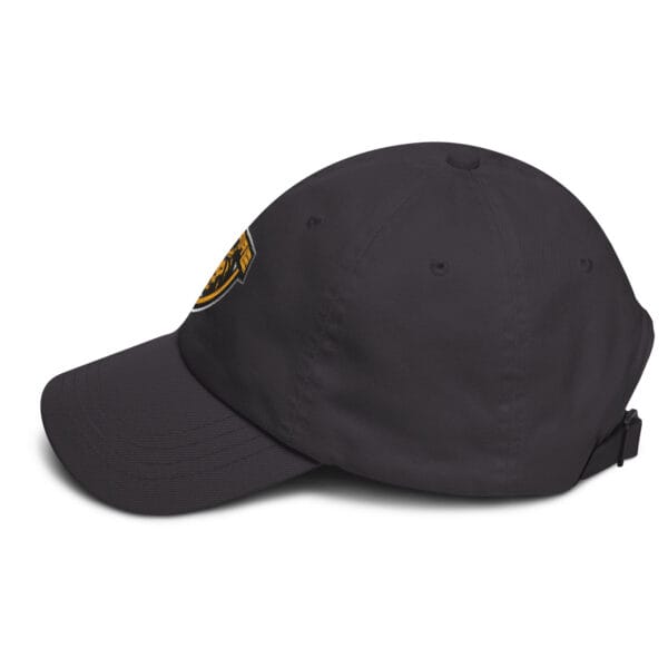 EMPIRE Shield Dad hat - Image 4